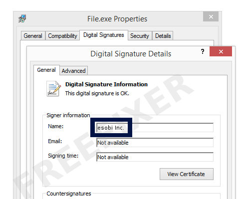 Screenshot of the esobi Inc. certificate